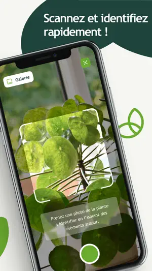 Groww by Willemse screenshot 3