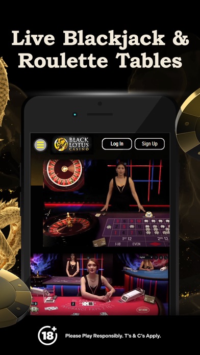 Black Lotus Fun Slots Screenshot
