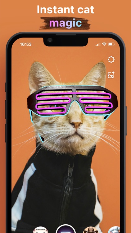 Pawtastic: Live Cat Effects