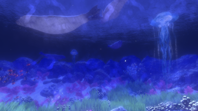 Coral Reef HD Screenshot