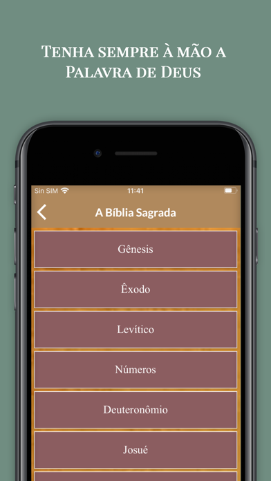 A Bíblia Sagrada com Áudio Screenshot