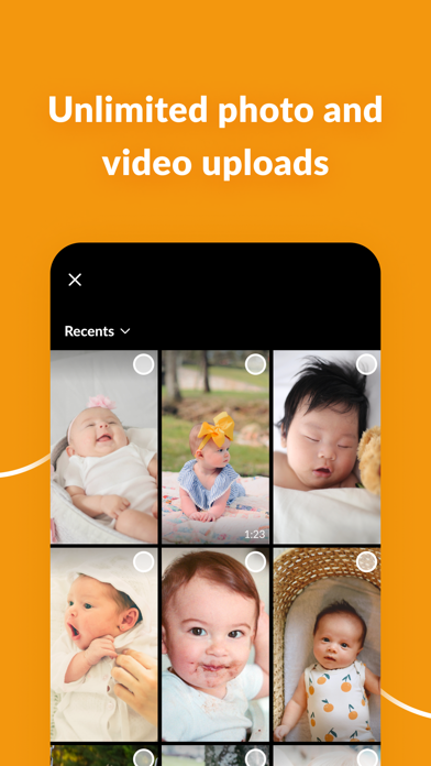 Honeycomb Baby Photo Album Screenshot