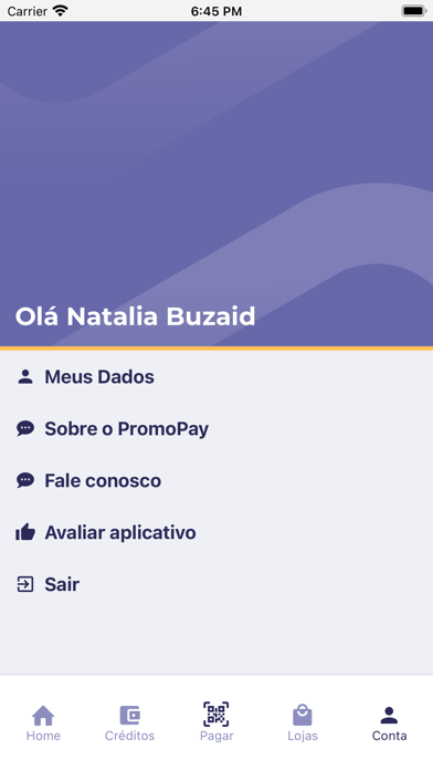 PromoPay Screenshot