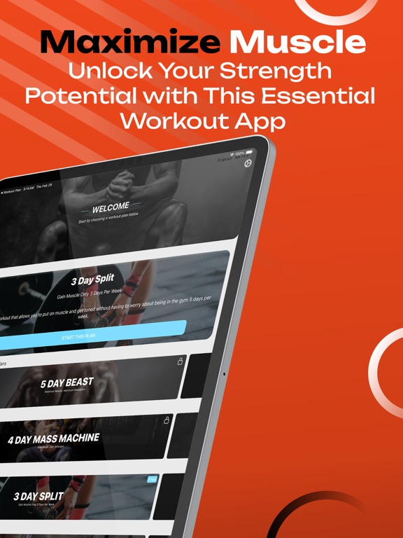 Screenshot #5 pour Muscle Building Workout Split