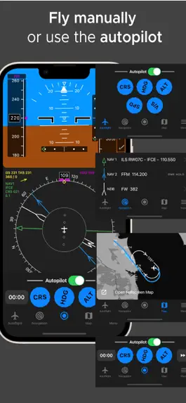 Game screenshot IFR Flight Simulator hack