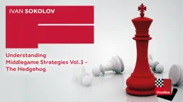strategies vol.3 problems & solutions and troubleshooting guide - 3