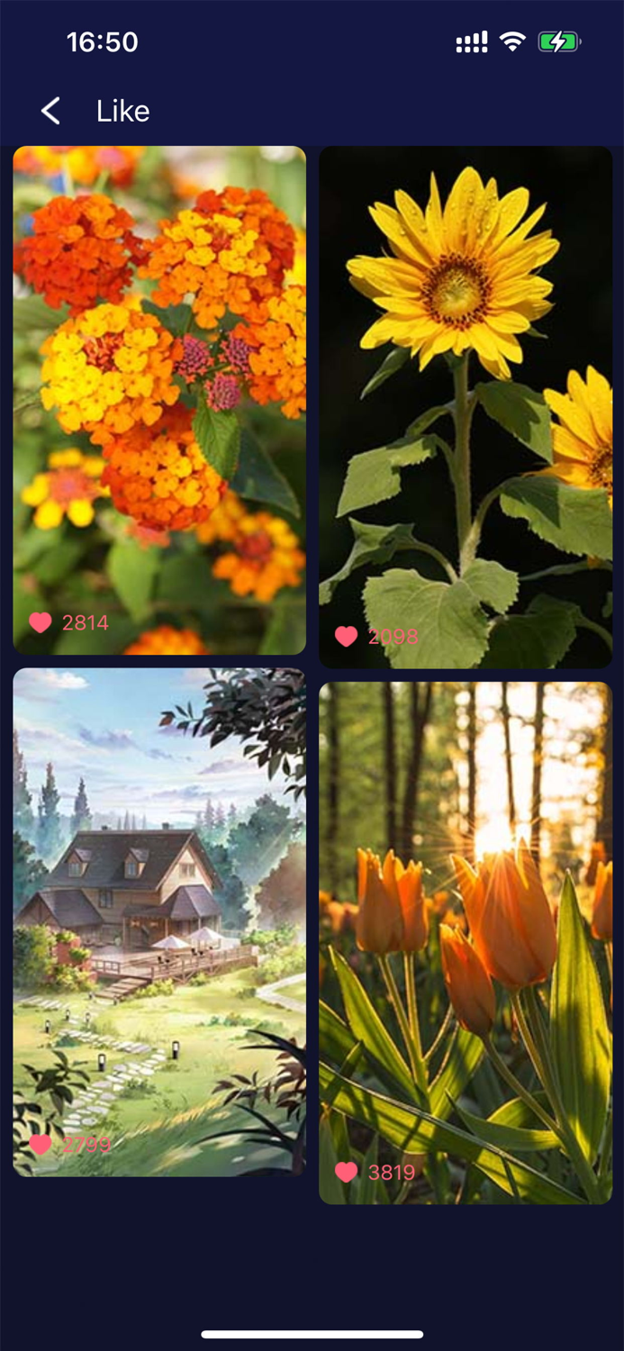 Phone Wallpaper HD