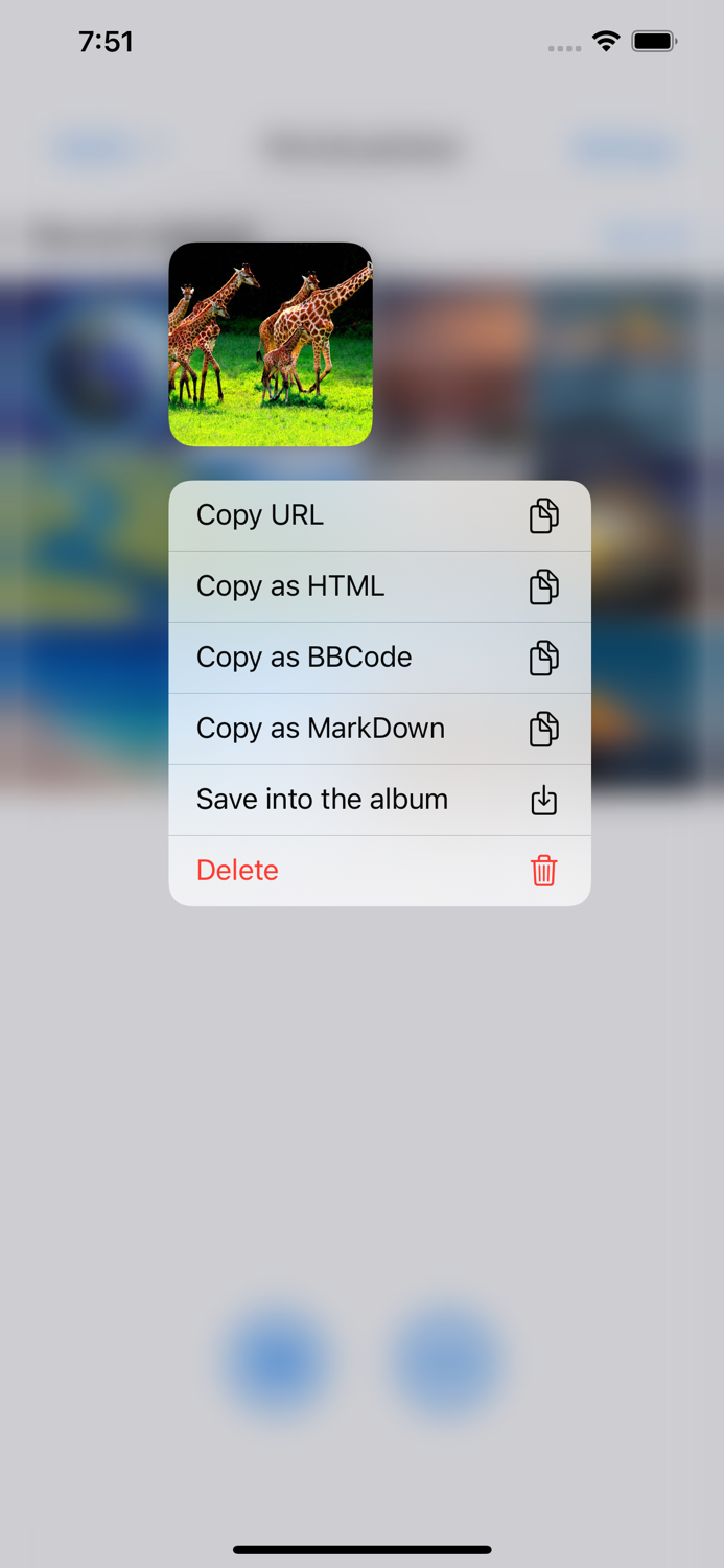 PicLink-Best image Hosting App
