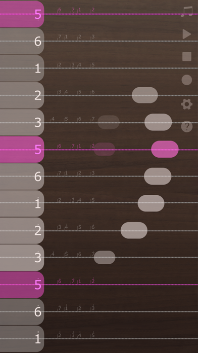 iGuzheng⁺ - Pro versionのおすすめ画像2