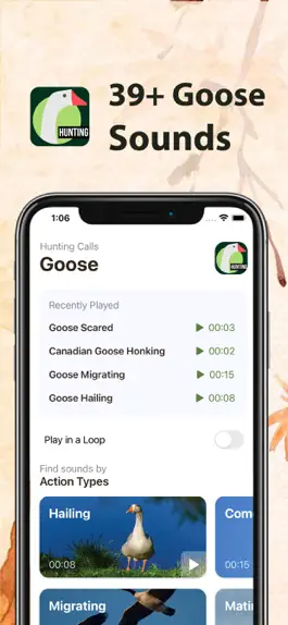 Game screenshot Hunting Calls for Goose mod apk