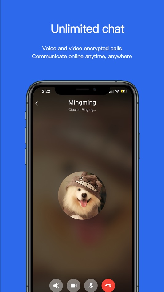 #3. Cipchat - Encrypted Messenger (iOS) 由: ZERO & ONE SOFTWARE PTE. LTD.