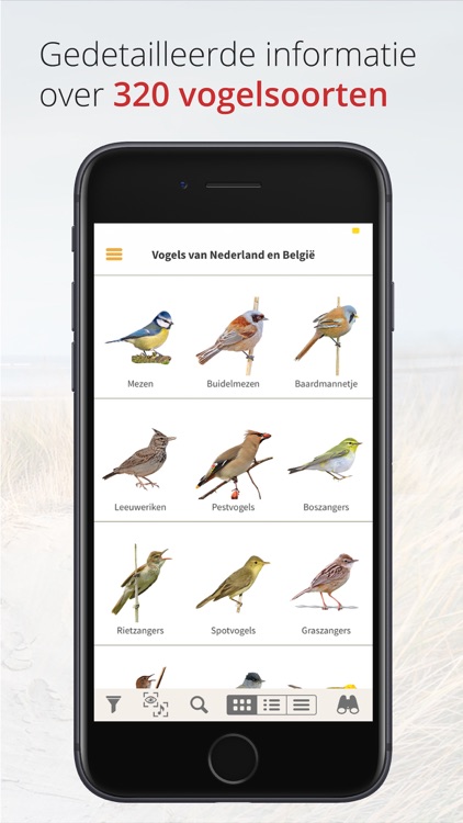 Vogels van Nederland en België screenshot-4