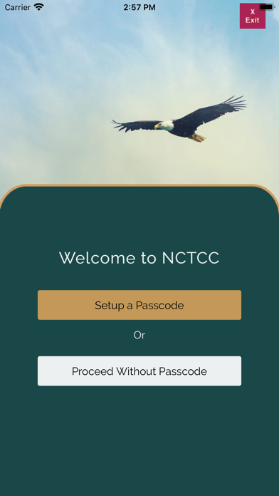 NCTCC Screenshot