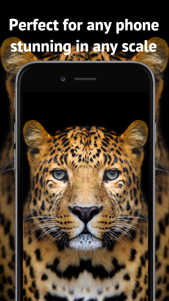 Beautiful Wallpapers 4K - HD