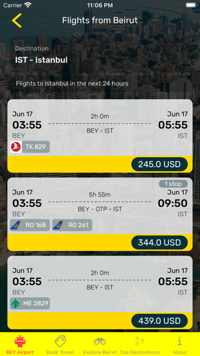 Beirut Airport (BEY) + Radar Screenshot