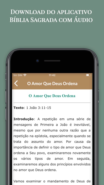 A Bíblia Sagrada com Áudio screenshot-7