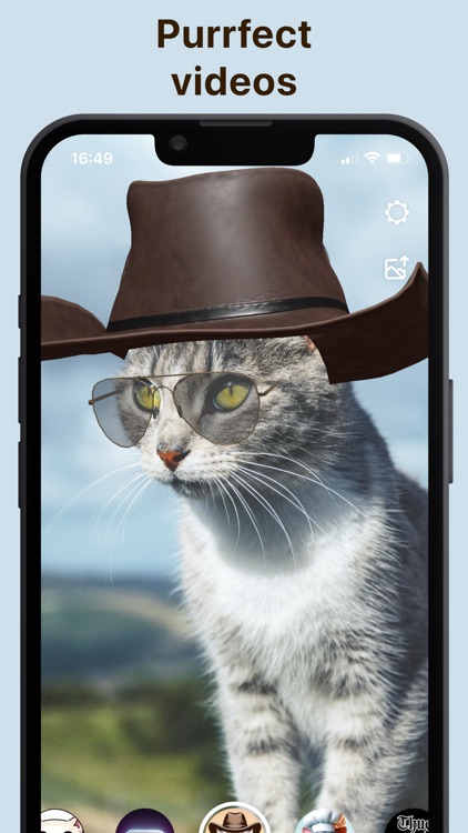 Pawtastic: Live Cat Effects