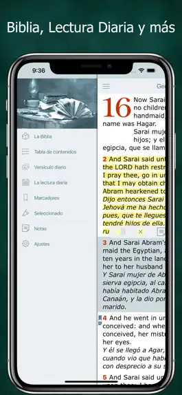 Game screenshot Spanish English Bible - Biblia apk