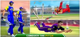 Game screenshot PSL Cricket Championship apk