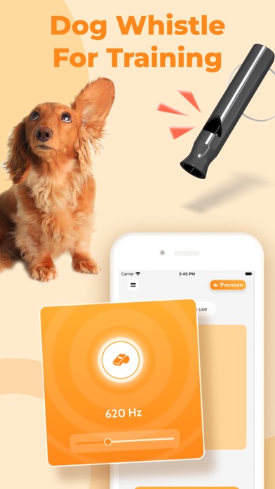 Dog Translator, Games for Dogs Screenshot