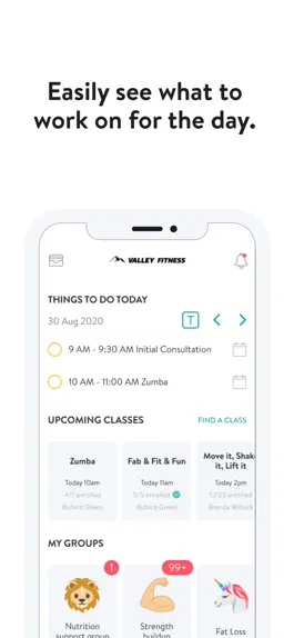 Game screenshot Valley Fitness apk