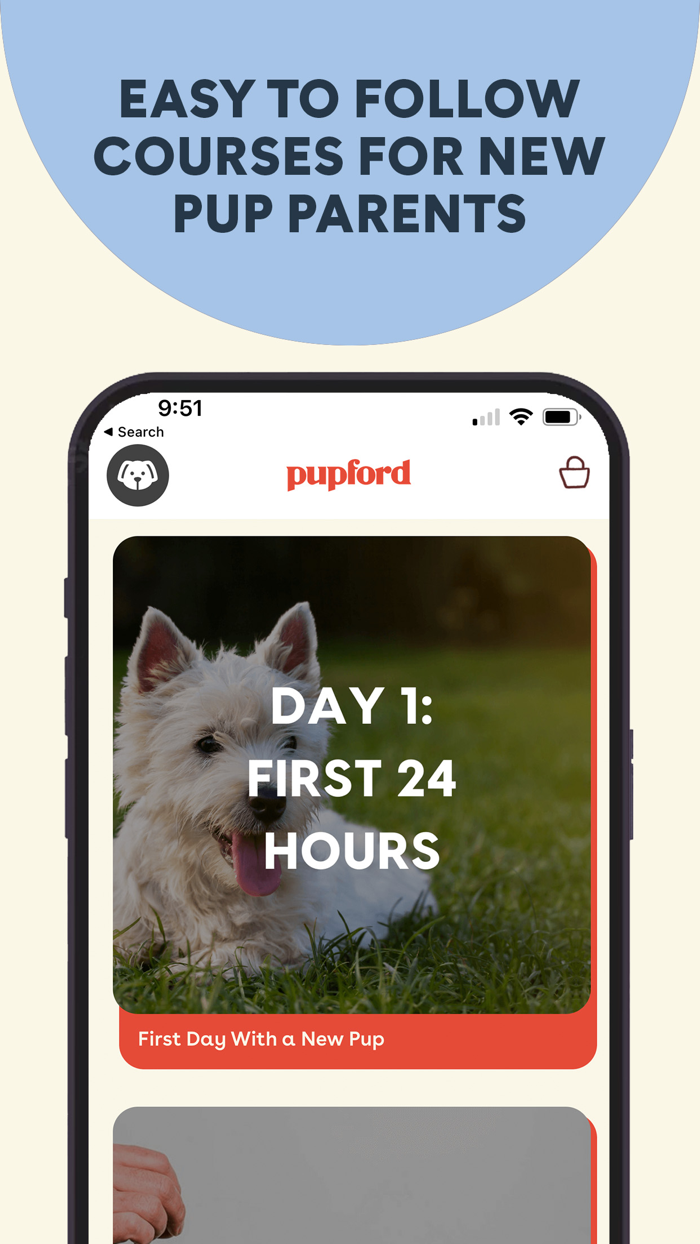 Pupford Puppy Training