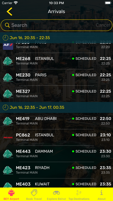Beirut Airport (BEY) + Radar Screenshot