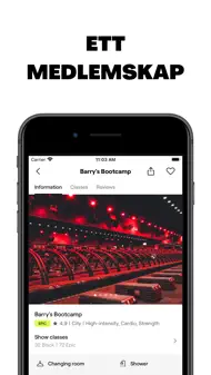 Bruce Studios iphone bilder 3