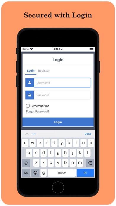 Radix Accounting Screenshot