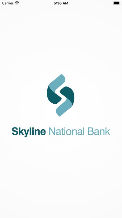Skyline National Bank Screenshot