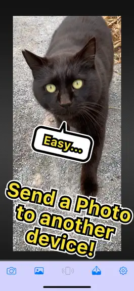 Game screenshot BlueTrans - Easy sharing! mod apk