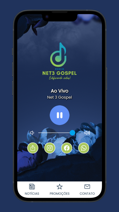 Net 3 Gospel Screenshot