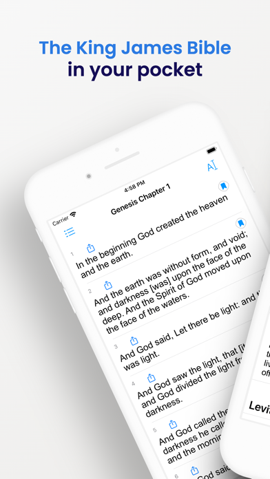 KJV Bible Screenshot