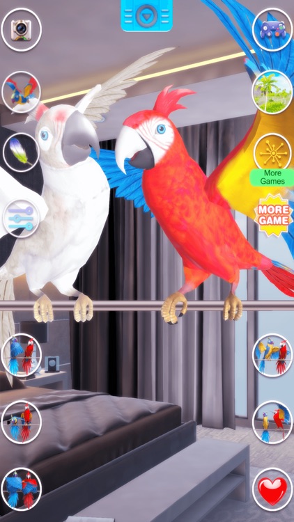 Talking Parrot Couple