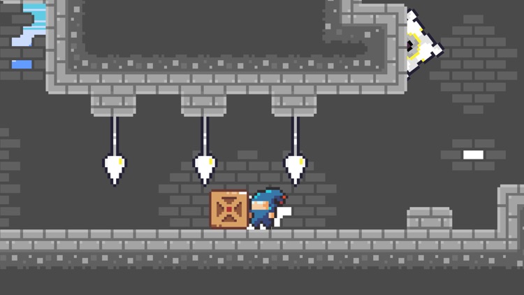 Lost Flowers screenshot-4