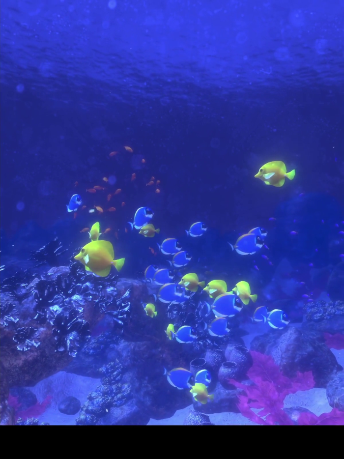 Coral Reef HD Lite