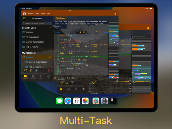 C Notebook iPad screenshot 6 - Developer Tools app