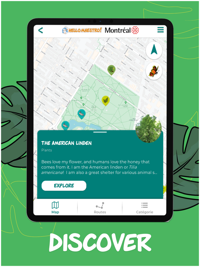 Hello Maestro Montréal