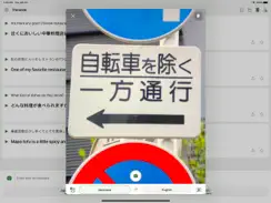 Microsoft Translator iPad image 3
