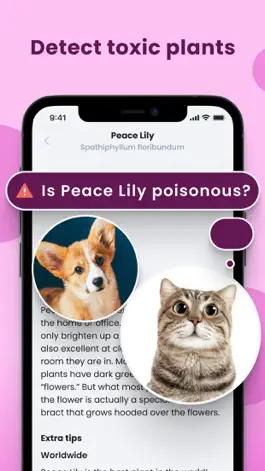 Game screenshot Plantopia  - Plant Identifier hack