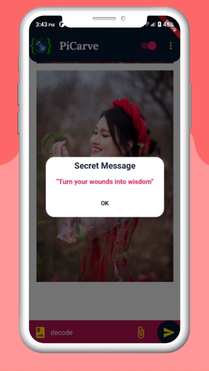 PiCarve screenshot-7