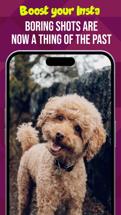 PetCam - Perfect Pet Portraits Screenshot