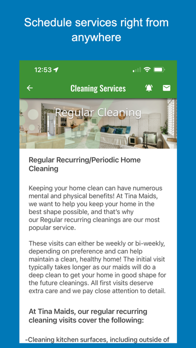 Tina Maids Screenshot