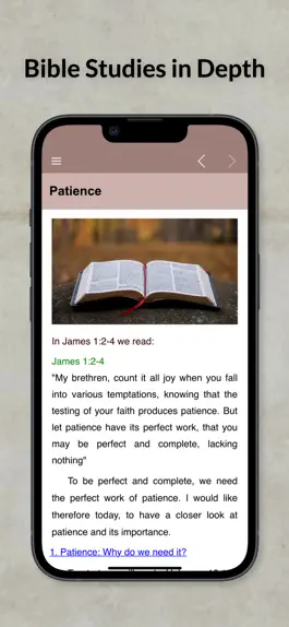 Game screenshot Bible Studies in Depth Daily mod apk