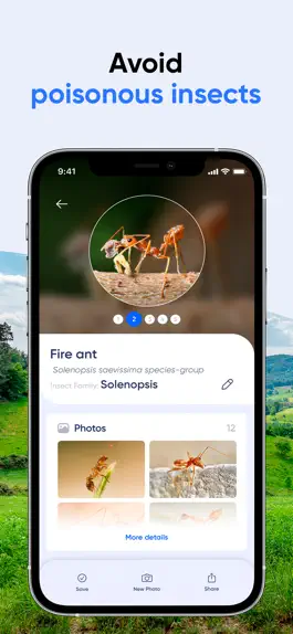 Game screenshot Bug ID: Insect Identifier AI mod apk