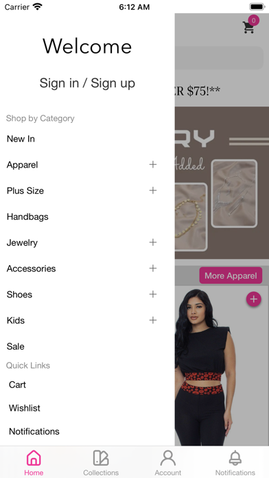 Sassy Shelby's Boutique Screenshot