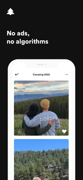 Game screenshot Pine – Photo Collections hack