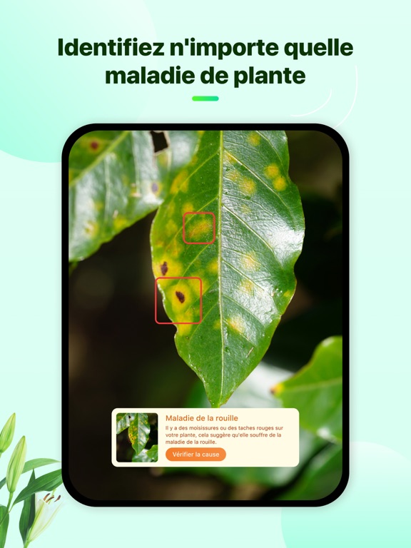 Plant Parent - Guide entretien Plant Parent - Guide entretien