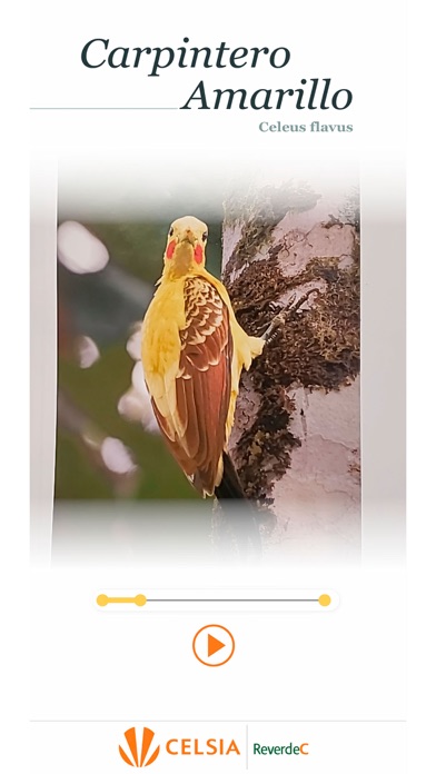 Naturaleza y asombro Screenshot