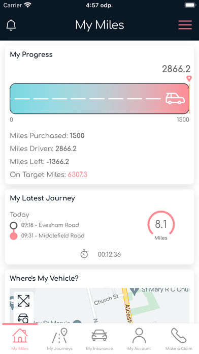 Love Your Miles Screenshot